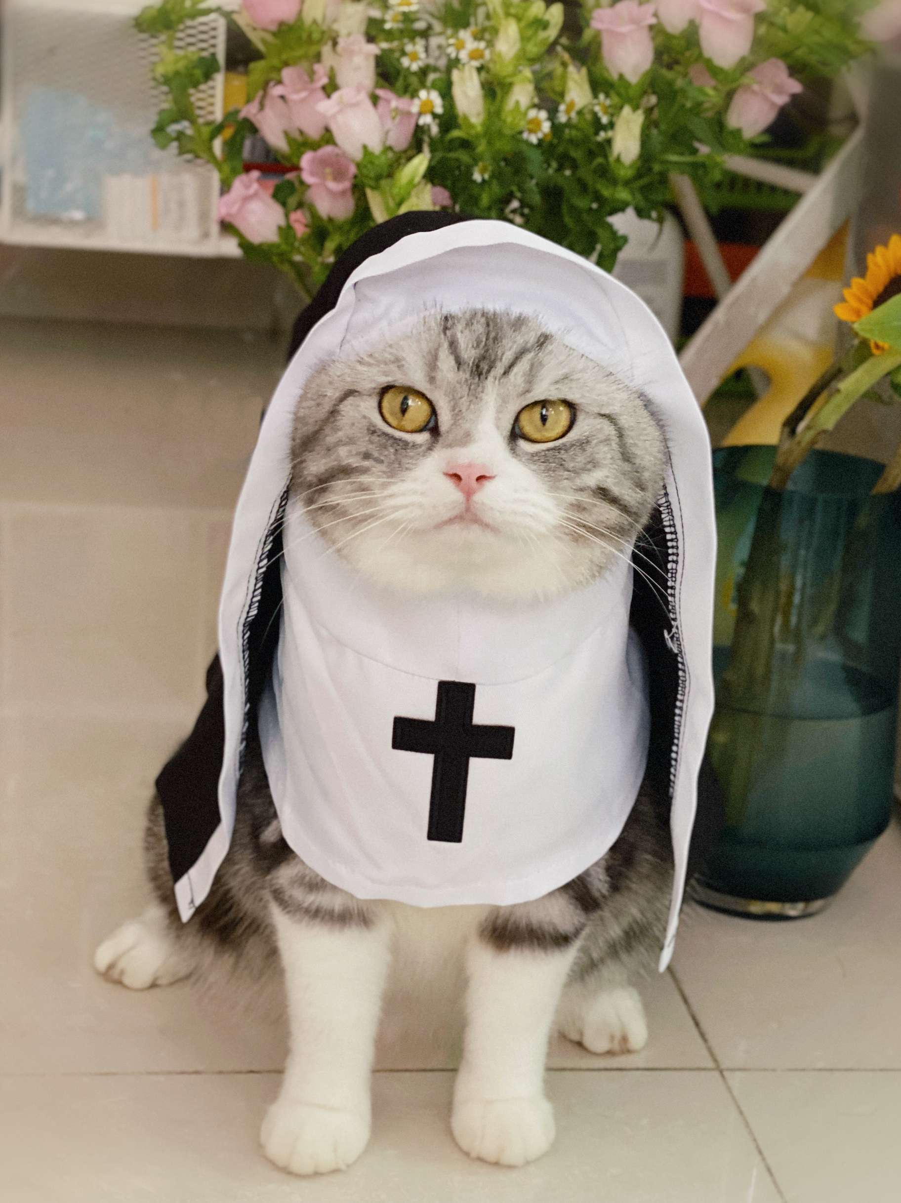 猫服  コスプレ | ねこ修道女コスチューム
