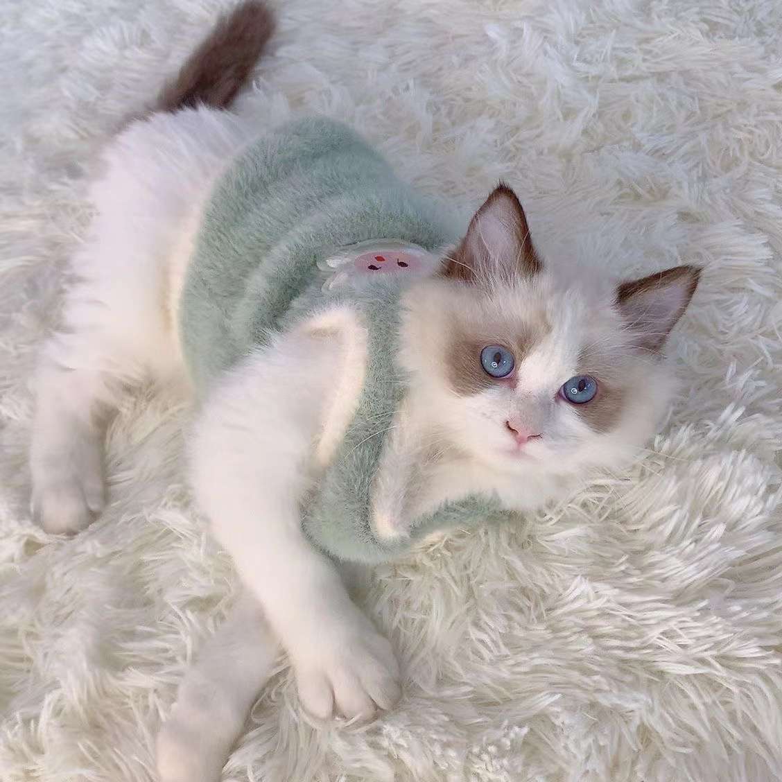 猫服  防寒服 | ふわもこ天使の羽ペット服