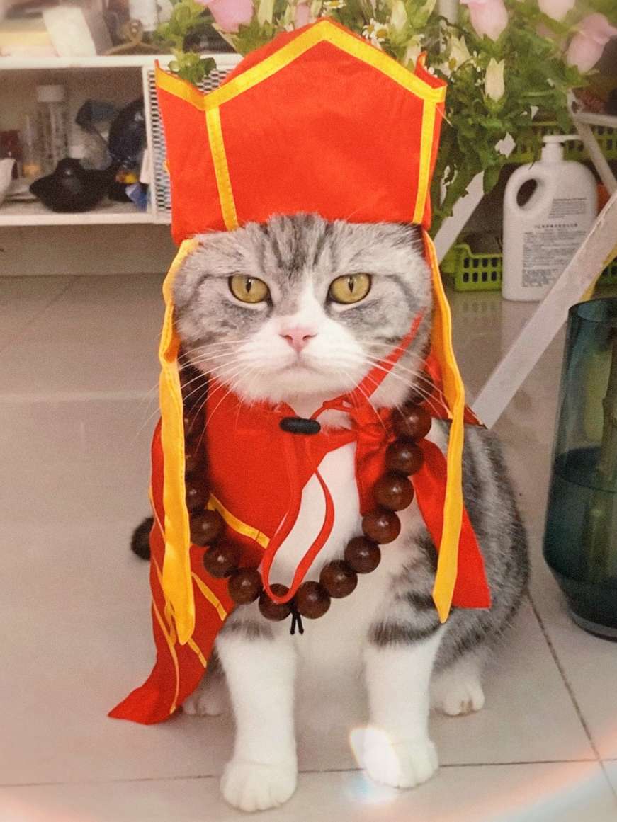 猫服  コスプレ | 福運招く僧侶風ペット着物