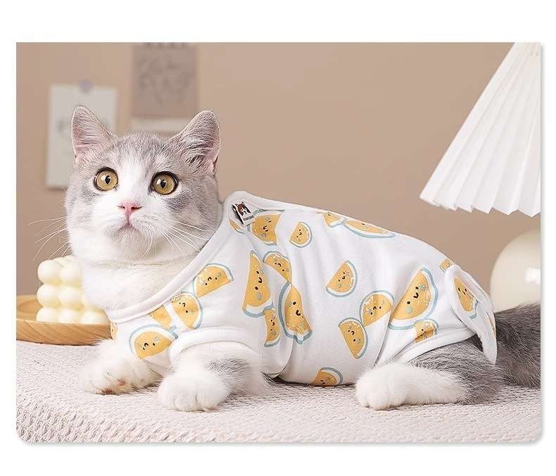 猫服  術後服 | 果物柄の猫用術後服