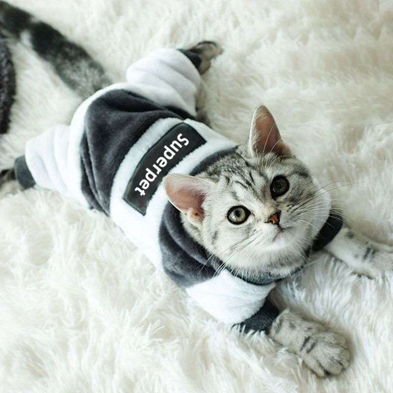 猫服  洋服 | スーパーペット猫用パーカー
