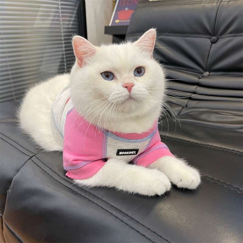 猫服  洋服 | ペット用おしゃれカジュアルウェア3点セット