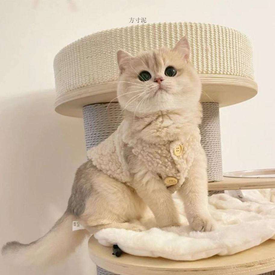 猫服  防寒服 | もこもこ猫ちゃん用ニットベスト