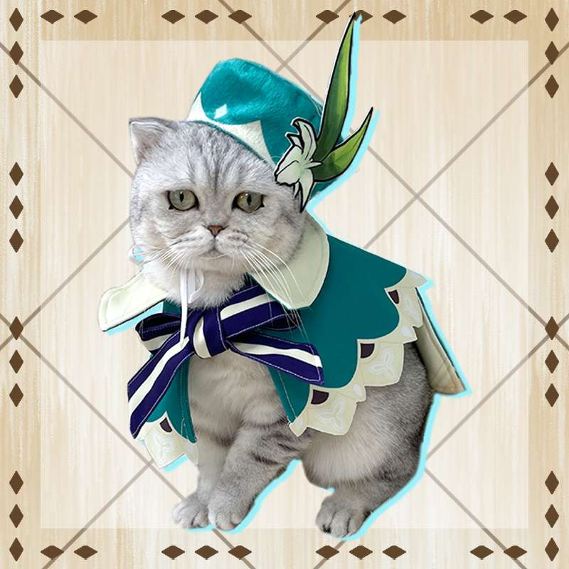 猫服  コスプレ | 妖精騎士風の猫用コスチューム