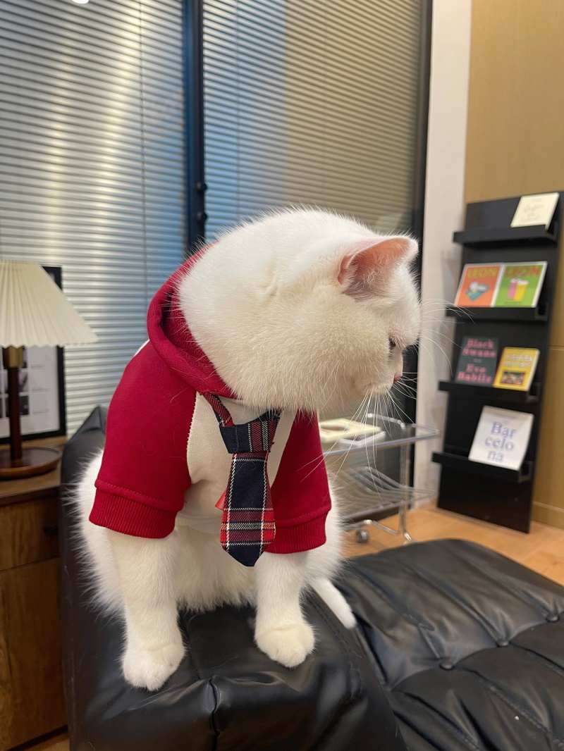 猫服  コスプレ | ネクタイ付きビジネス猫用スーツ