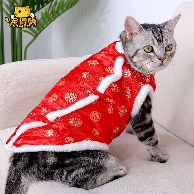 猫服  防寒服 | 福々招き猫のお正月マント