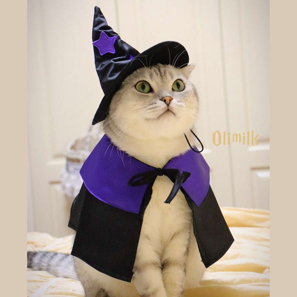 猫服  コスプレ | ハロウィン魔法使い猫コスチュームセット