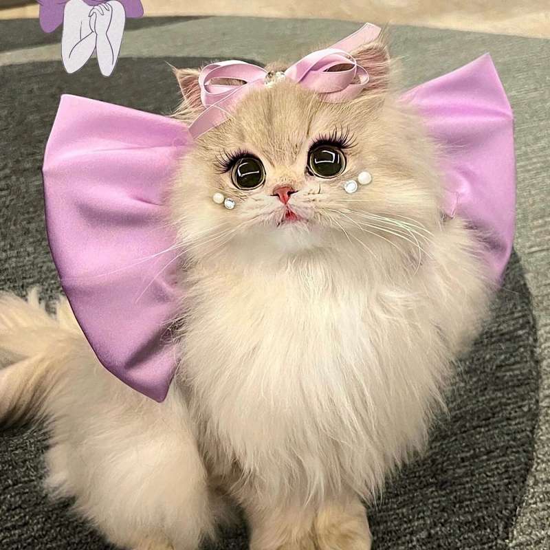 猫服  帽子 | ふわふわ姫様リボン猫耳キャップ