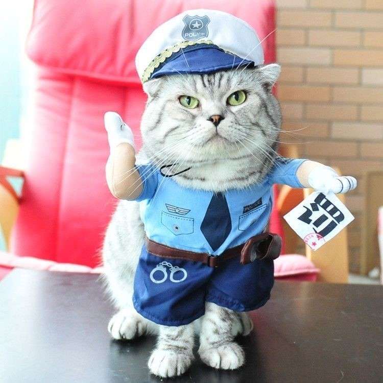 猫服  コスプレ | ネコ用警察官制服コスプレセット