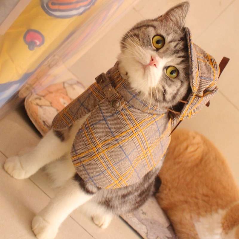 猫服  コスプレ | 猫用探偵風チェック柄ケープ帽子セット