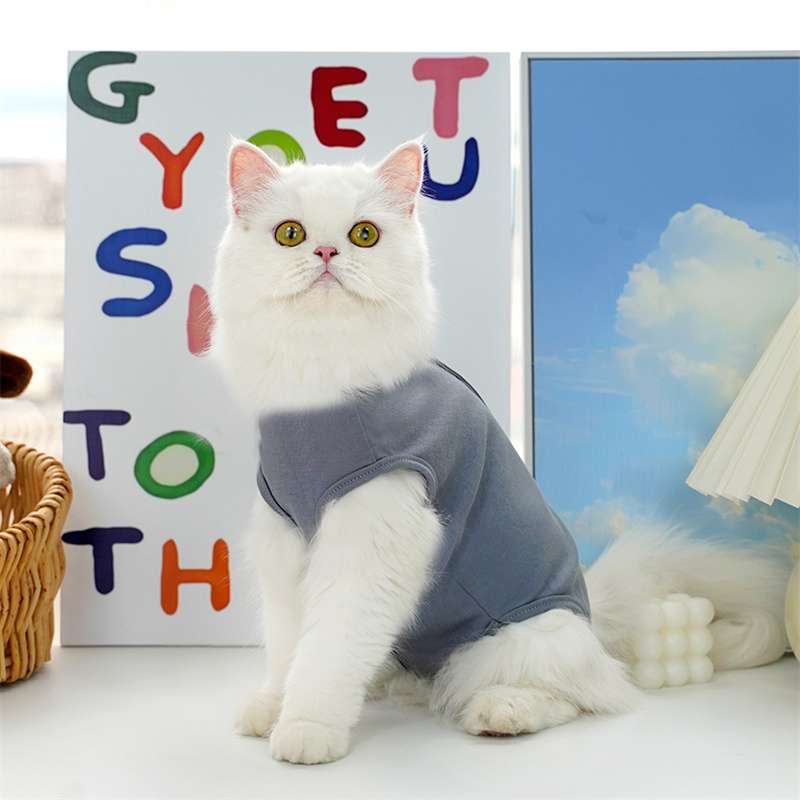 猫服  洋服 | ふわもこ猫ちゃんのストライプシャツ