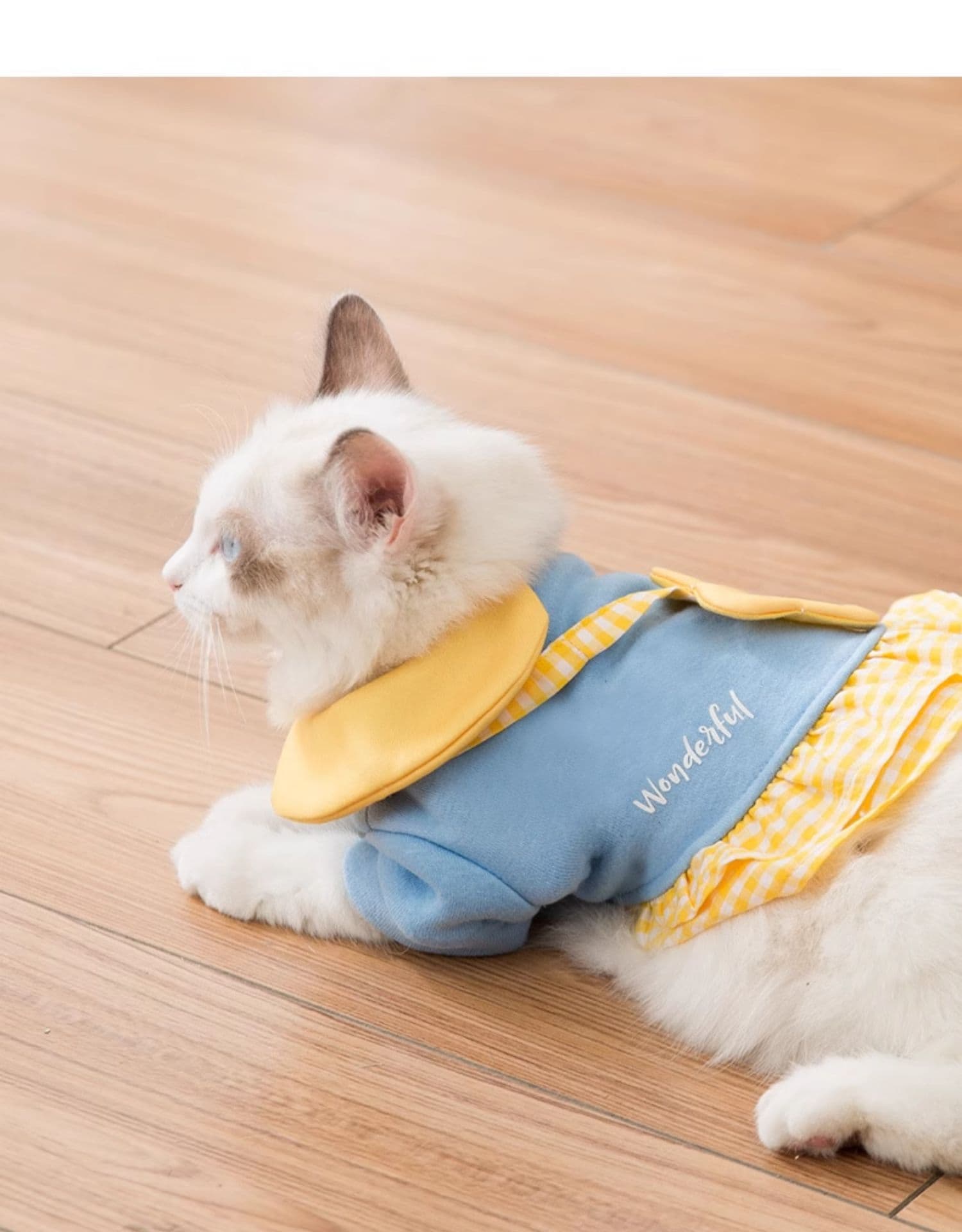 猫服 お花のセーラー襟スタイル