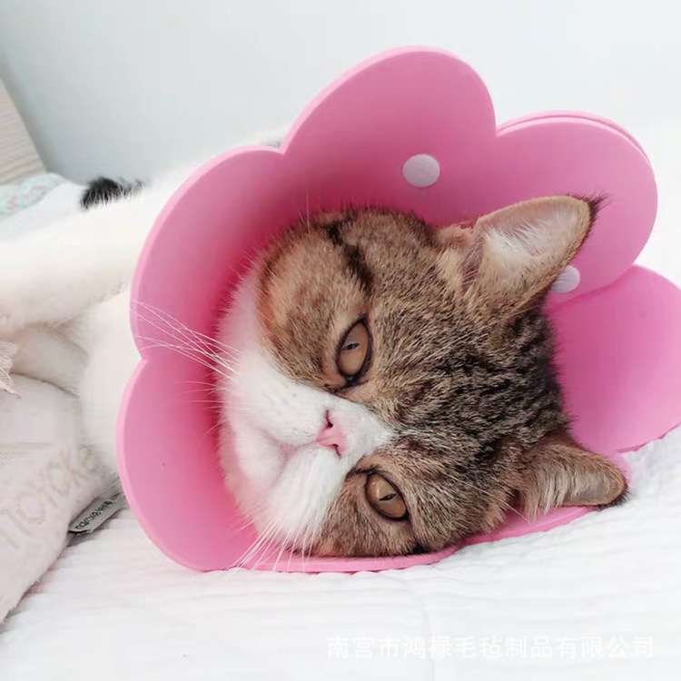猫服 猫 エリザベスカラー | お花型エリザベスカラー