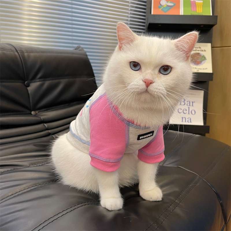 猫服  洋服 | ペット用おしゃれカジュアルウェア3点セット