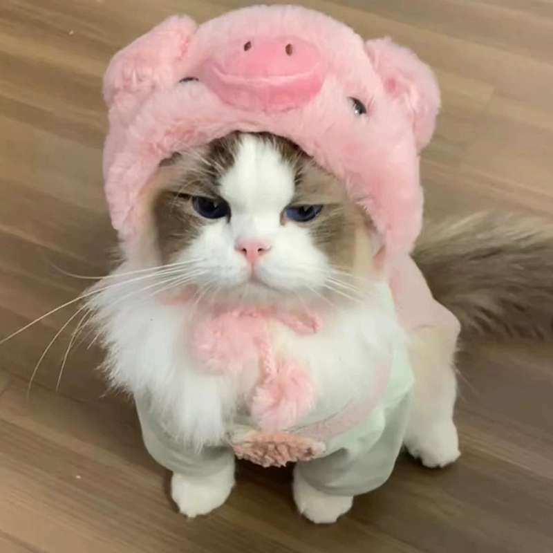 猫服  コスプレ | もこもこブタちゃん猫用コスチューム