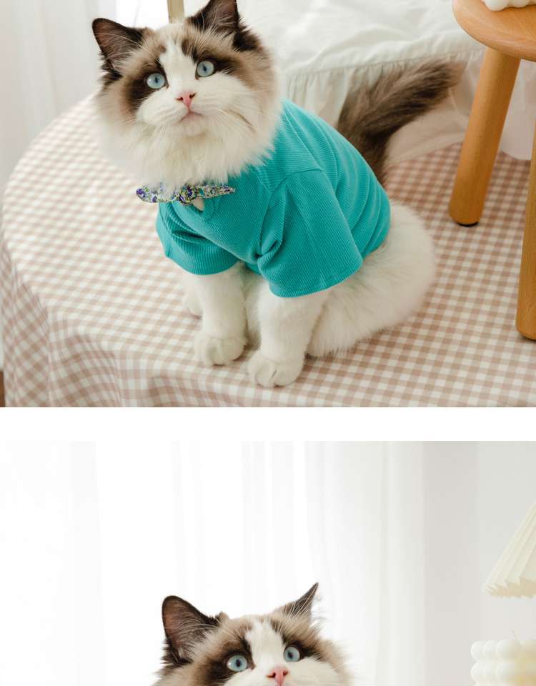 猫服  洋服 | ふわもこ猫ちゃんの季節のお洒落トップス