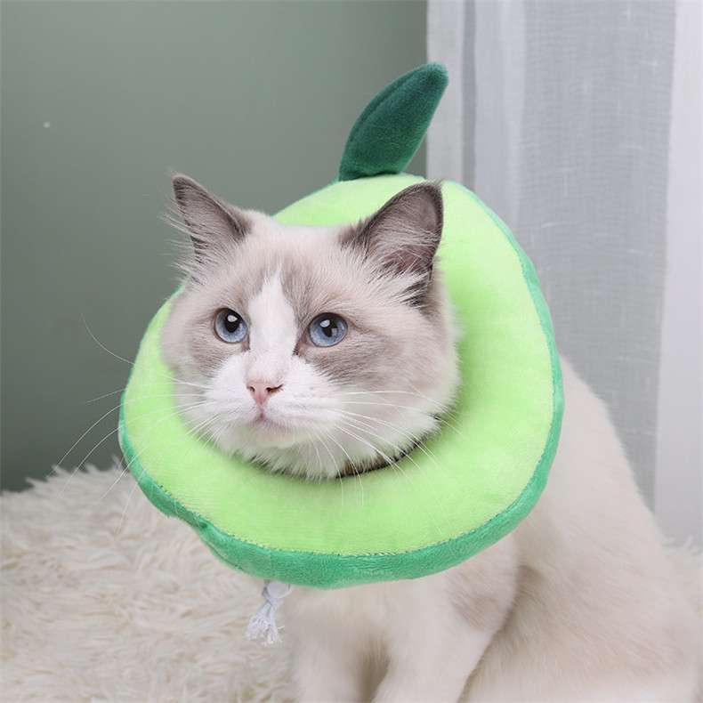 猫服 猫 エリザベスカラー | もふもふペット用食パンカラー