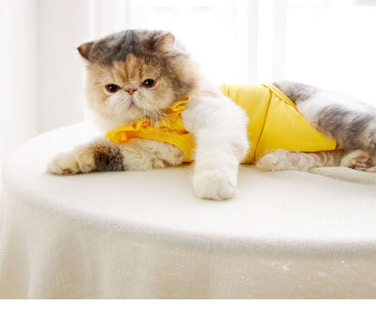 猫服  術後服 | ふんわりフリル付き猫用術後服