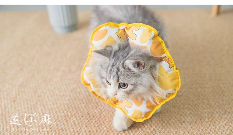 猫服 猫 エリザベスカラー | もふもふペット用首枕エリザベスカラー