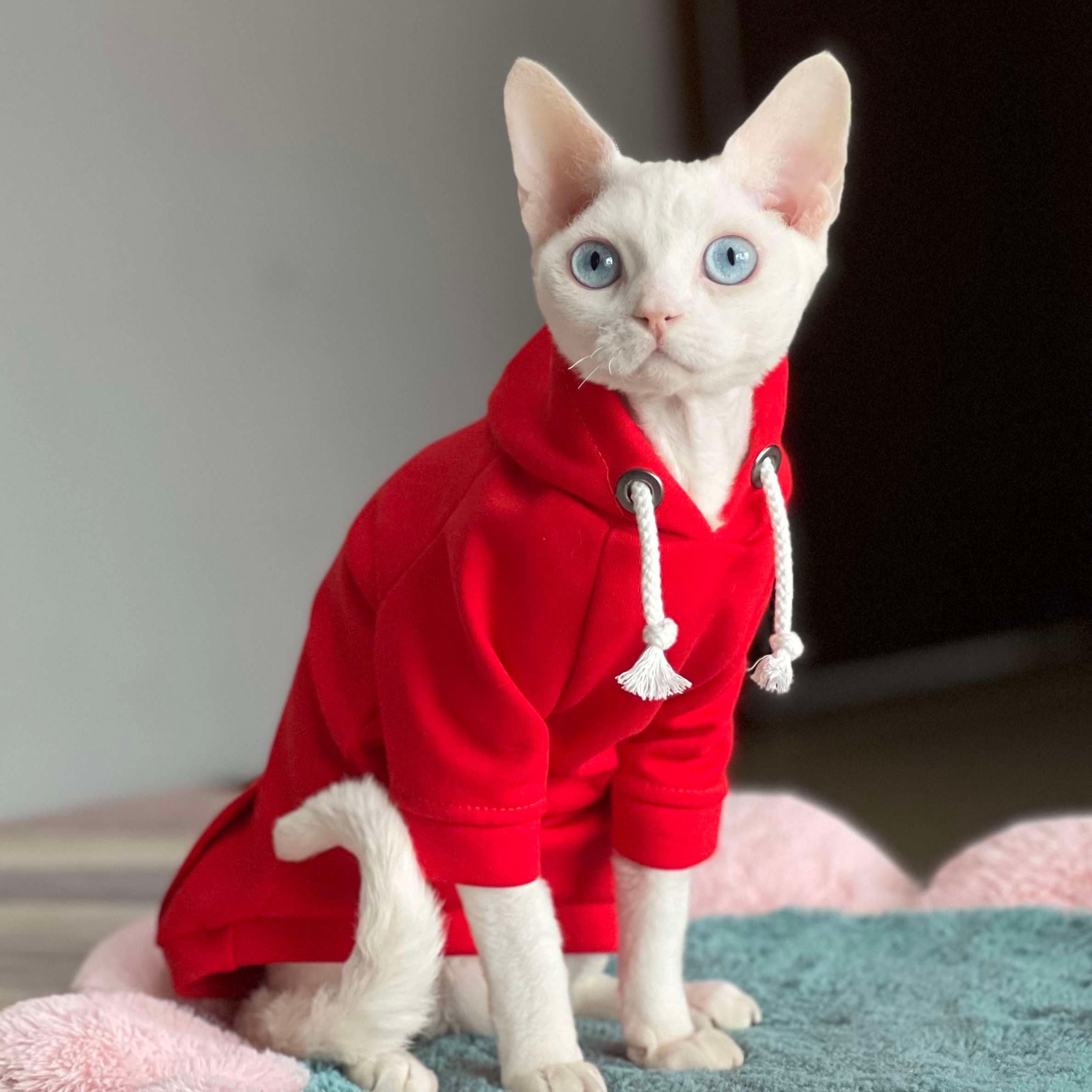 猫服  防寒服 | ふわもこ猫ちゃんパーカー