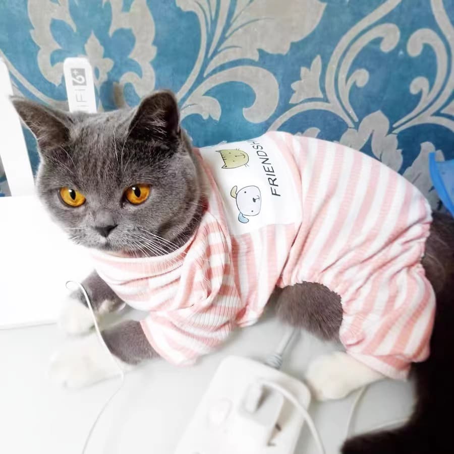 猫服 ぽんぽんしっぽ付きボーダー猫用パジャマ