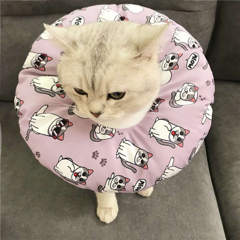 猫服 猫 エリザベスカラー | 猫用かわいいイラスト柄エリザベスカラー