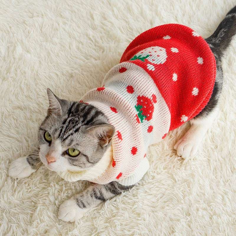 猫服  防寒服 | クリスマス柄ニットセーター