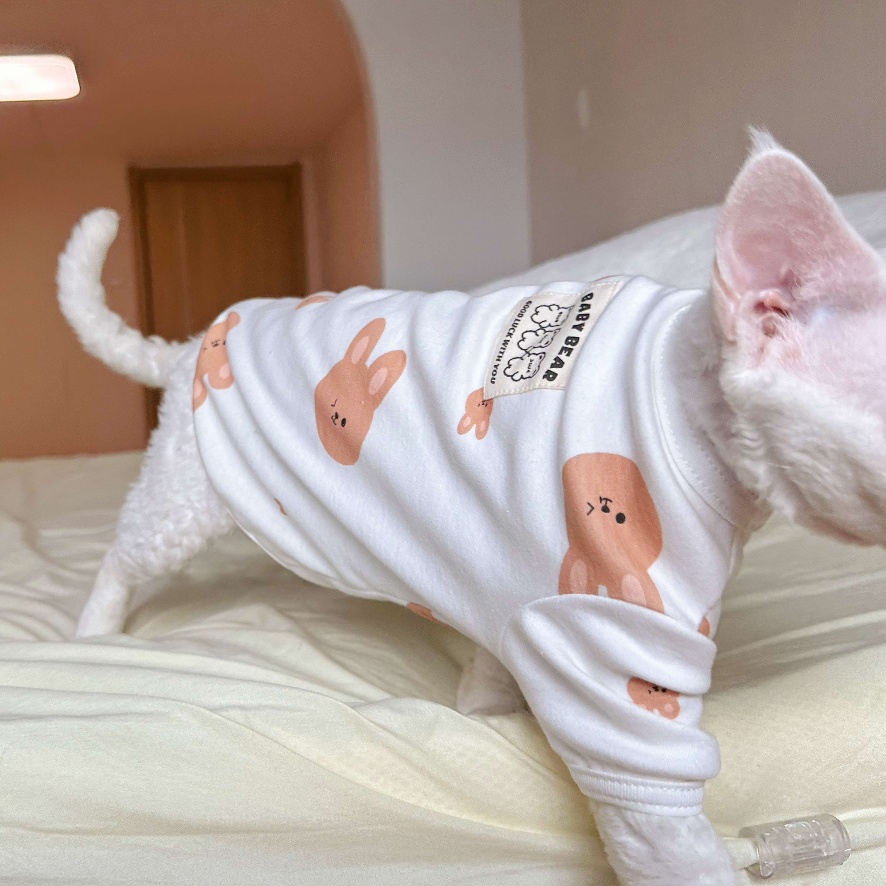 猫服  スフィンクス | もふもふスフィンクス着ぐるみ