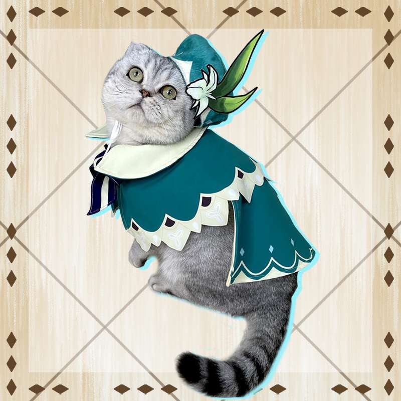 猫服  コスプレ | 妖精騎士風の猫用コスチューム