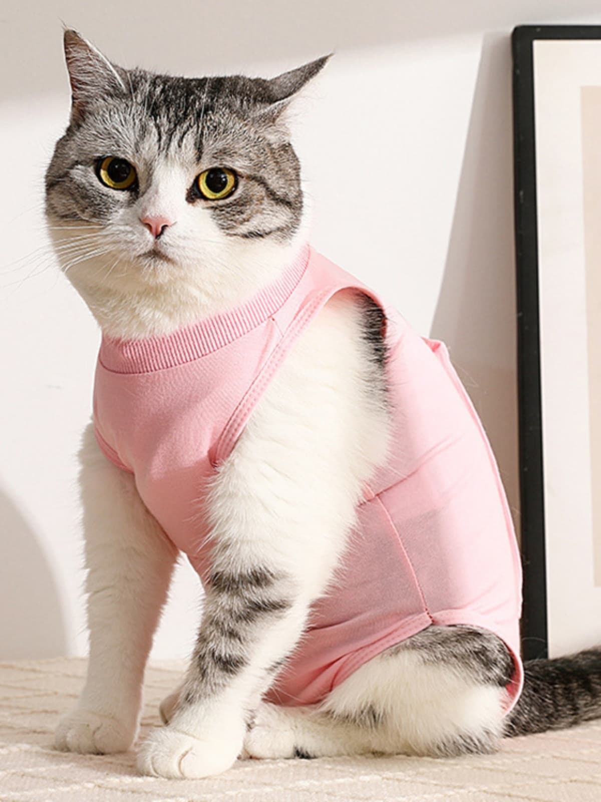 猫服  やさしい抱擁 猫用術後ウェア