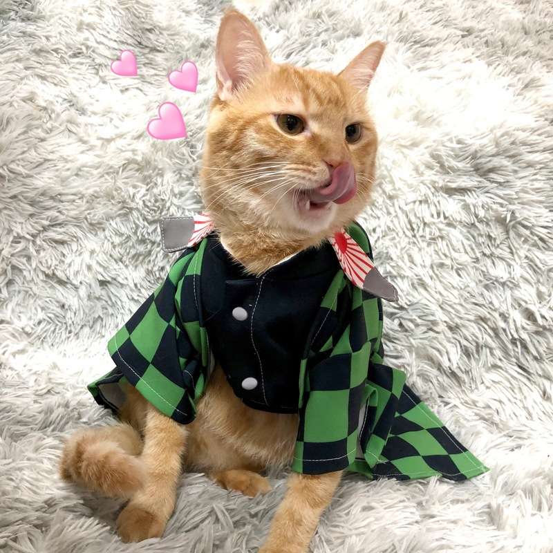猫服  コスプレ | 鬼滅の刃風デザインの