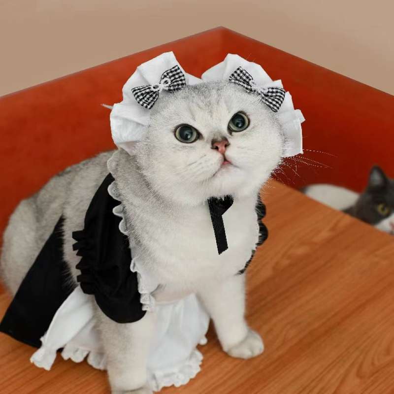猫服  コスプレ | メイド風フリルワンピース