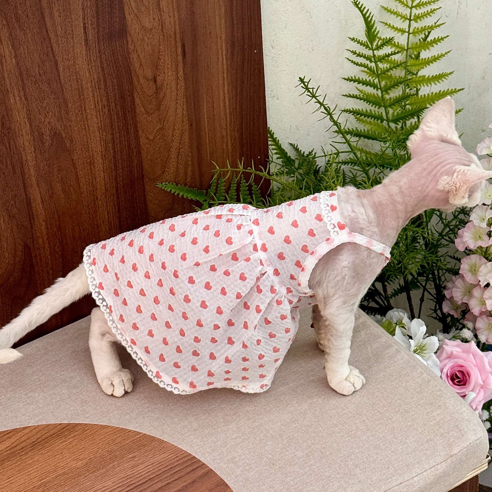 猫服  洋服 | ハートドット柄キャットドレス