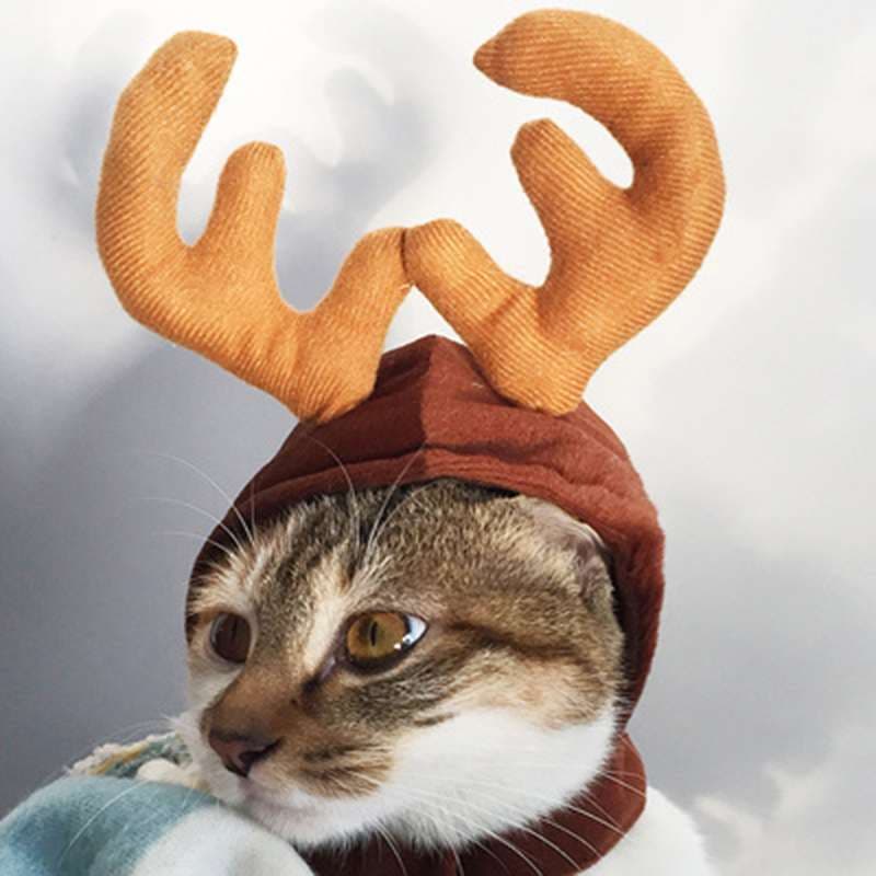 猫服  コスプレ | ねこちゃんのクリスマスコスチューム