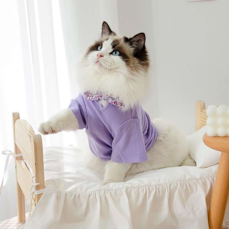 猫服  洋服 | ふわもこ猫ちゃんの季節のお洒落トップス