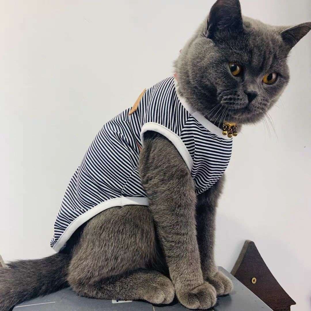 猫服  防寒服 | もふもふ猫ちゃんの縞々ベスト