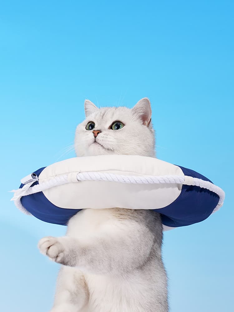 猫服 海の浮輪風ふんわり保護用襟巻