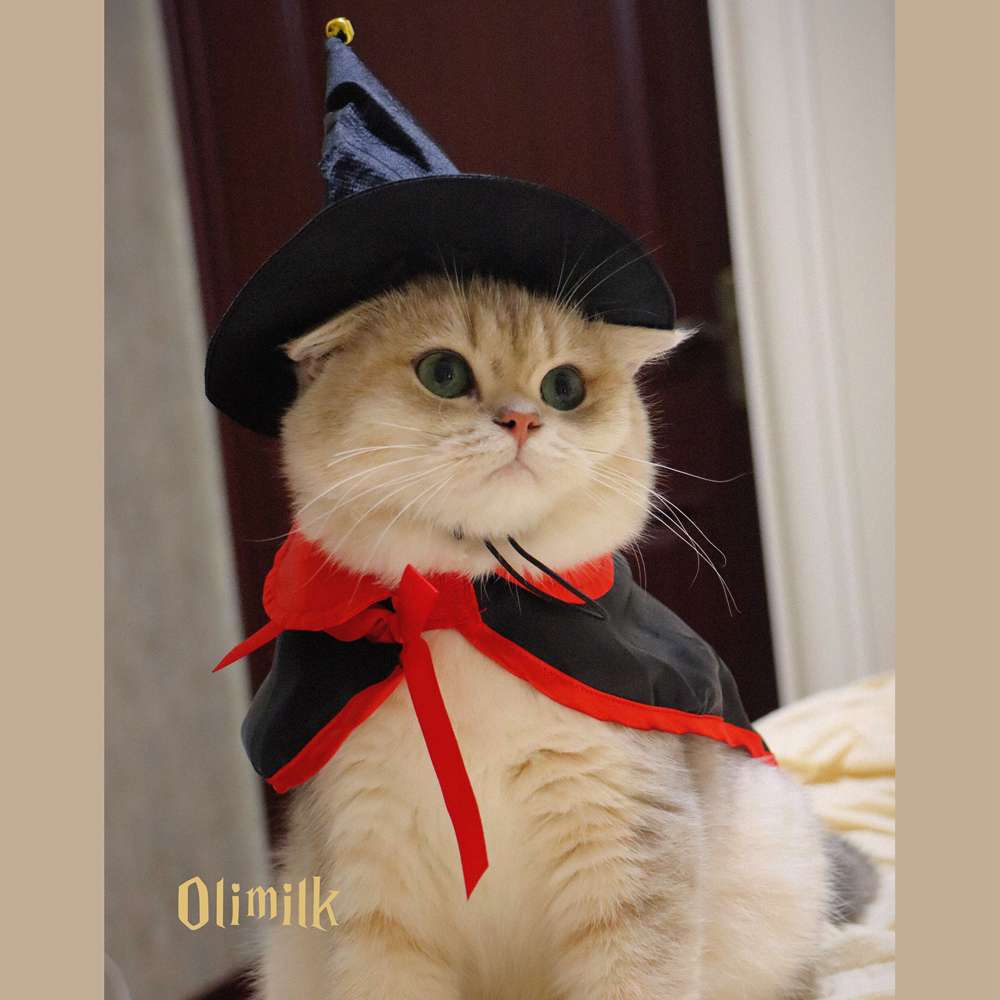 猫服  コスプレ | ハロウィン魔法使い猫コスチュームセット