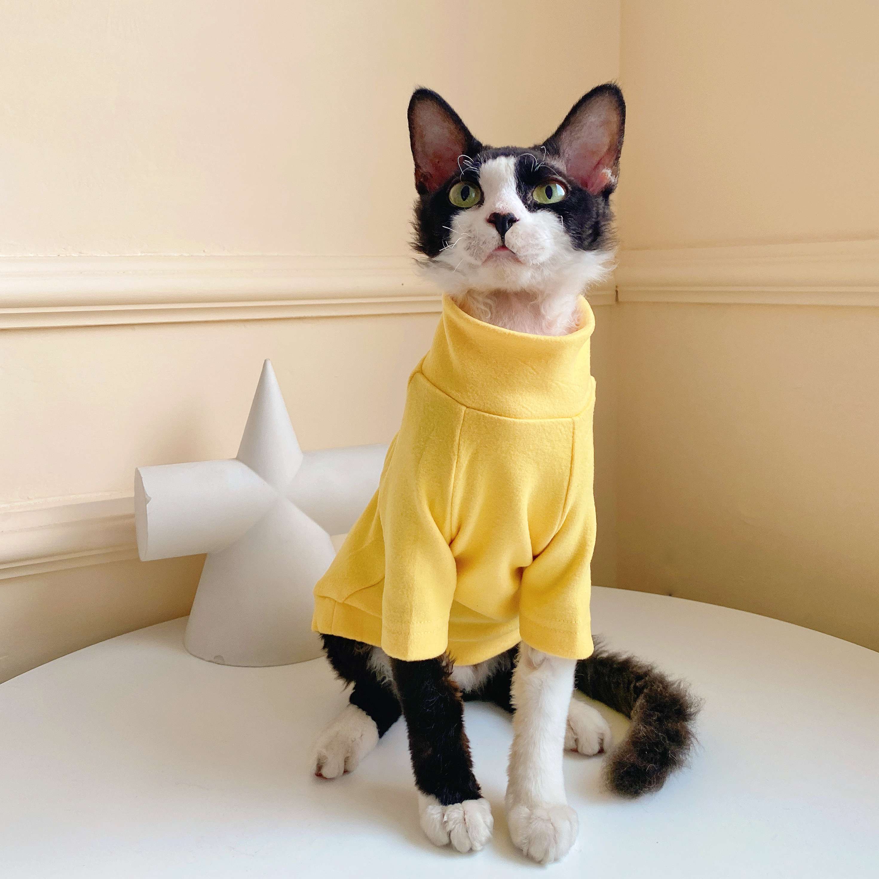 猫服  術後服 | にゃんこの優しい術後ウェア