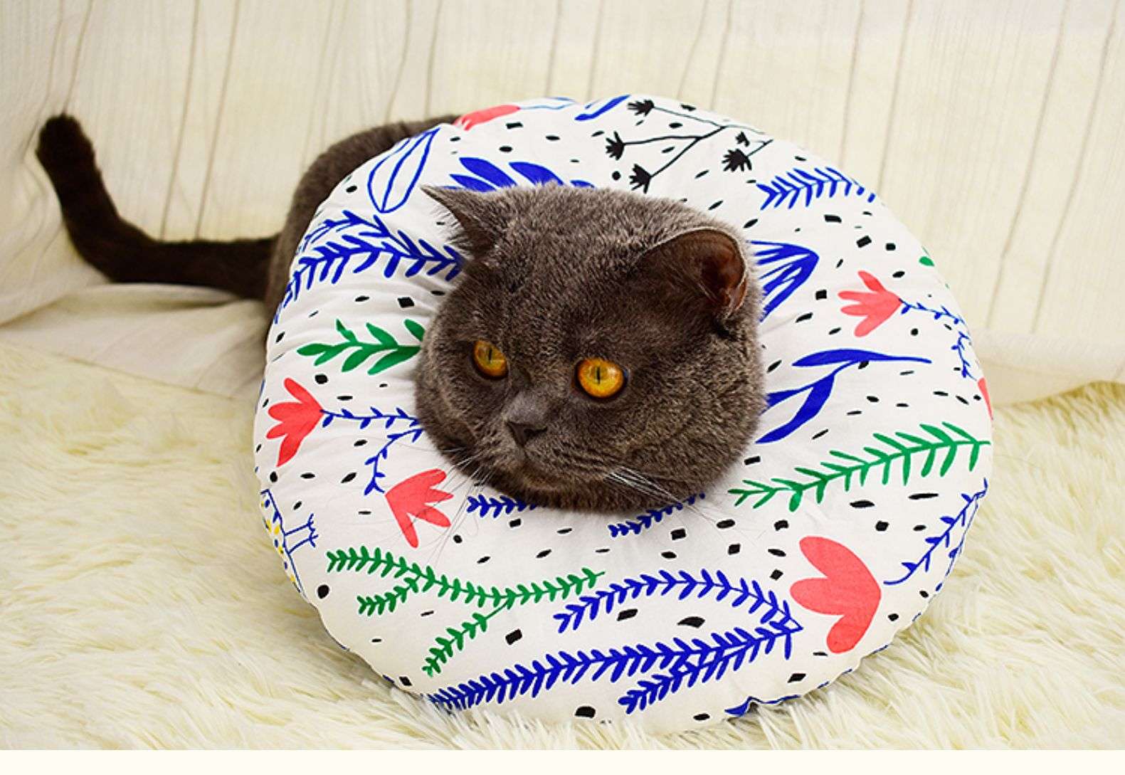 猫服 猫 エリザベスカラー | ふわもこペット用プリントエリザベスカラー