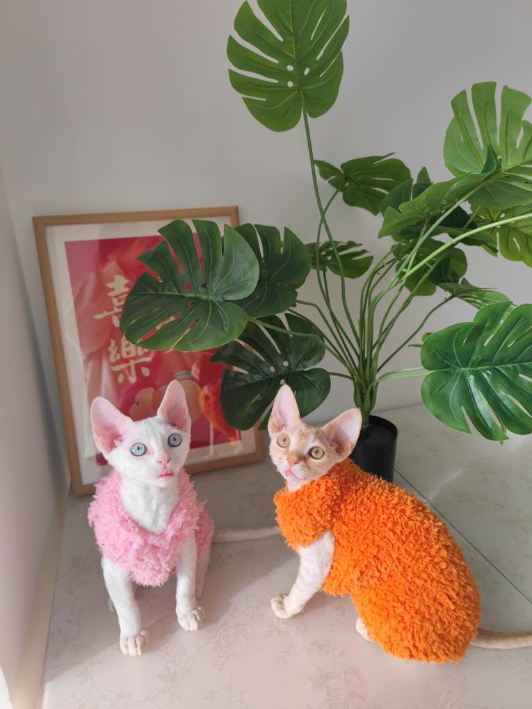 猫服  スフィンクス | モコモコあったかスフィンクスキャットウェア