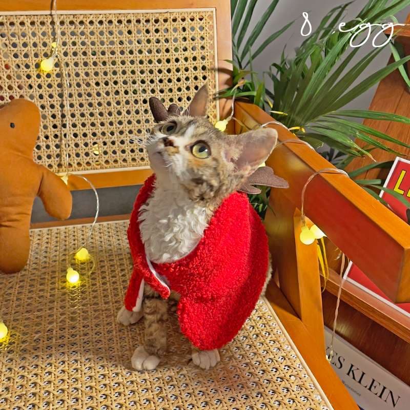 猫服  コスプレ | ペット用ホリデーコスチューム3点セット
