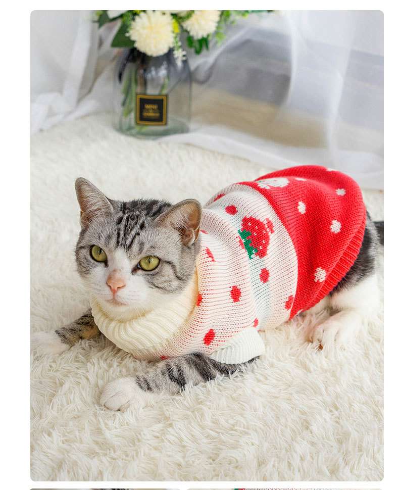 猫服  防寒服 | ふわもこクリスマスニットウェア