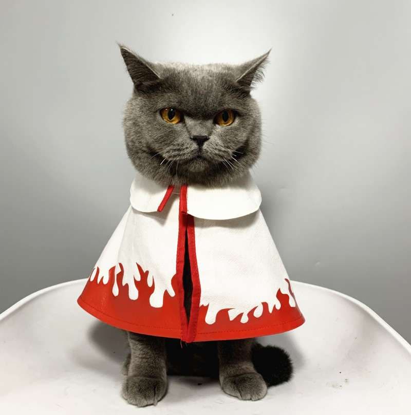猫服  コスプレ | 七代目火影風猫用コスチューム