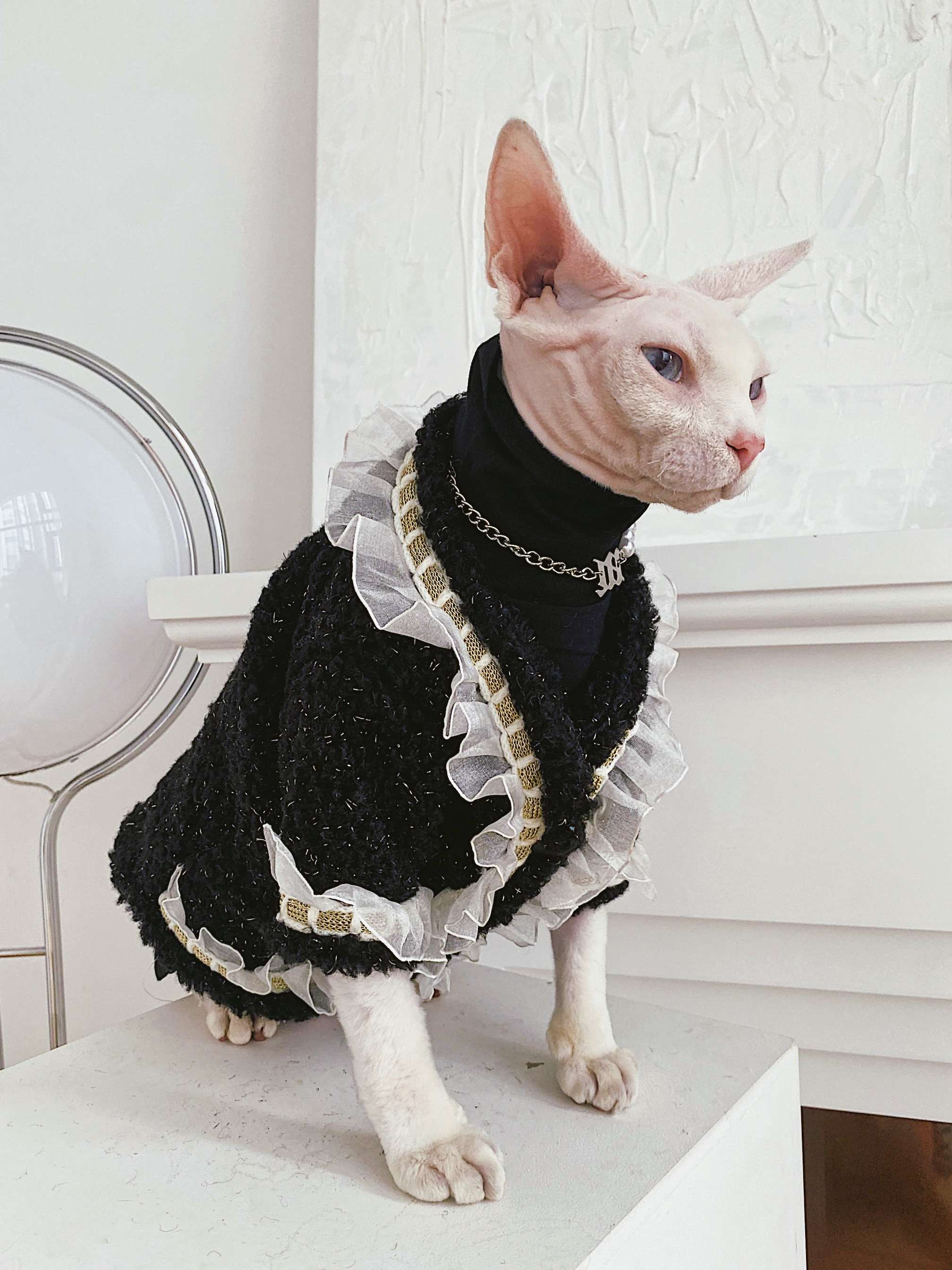 猫服  スフィンクス | 貴族風フリルドレス スフィンクス用