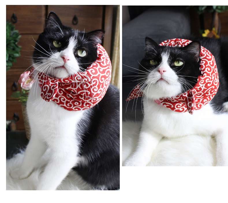 猫服  帽子 | 和風モダン猫用バンダナキャップ