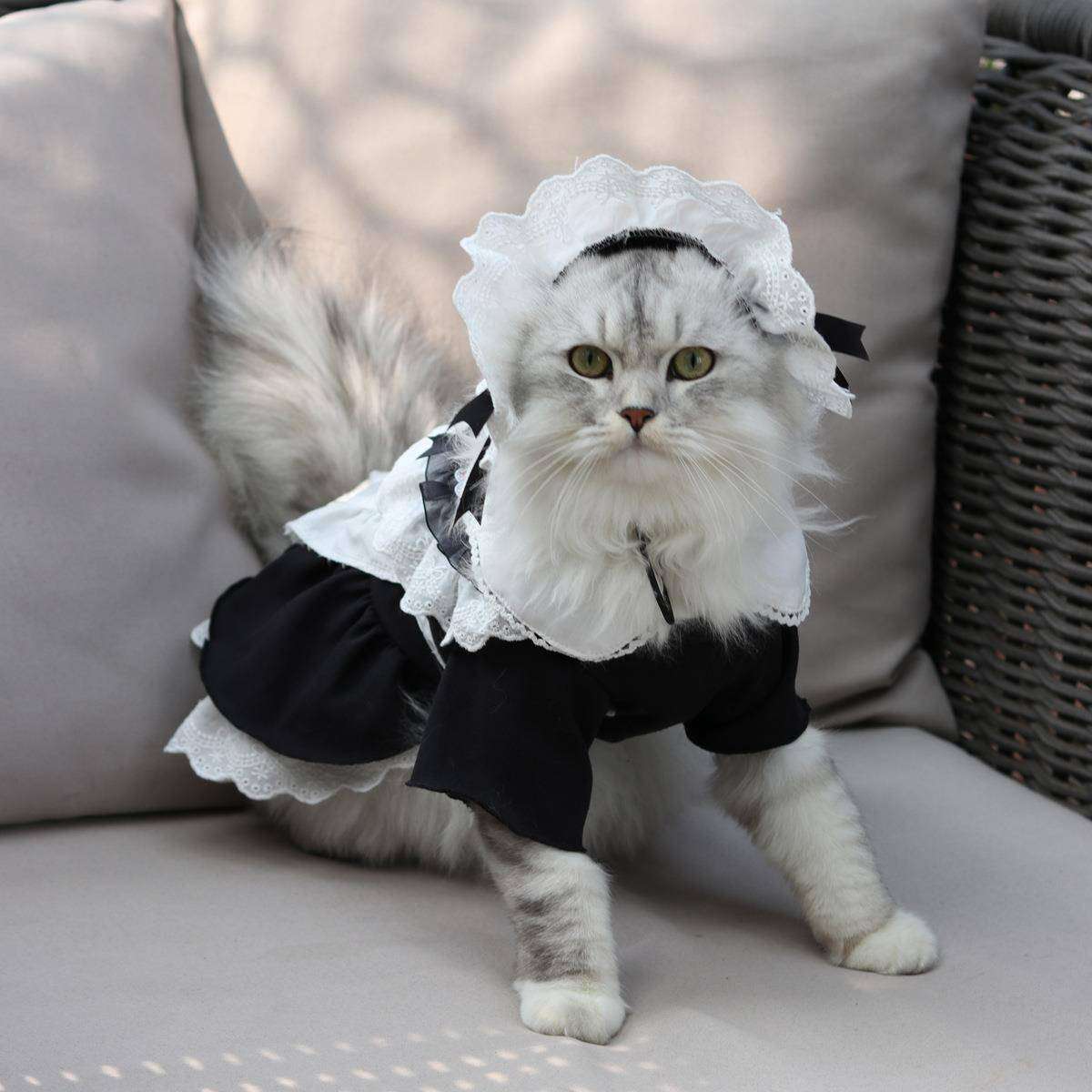 猫服  コスプレ | メイド風猫用コスチュームセット