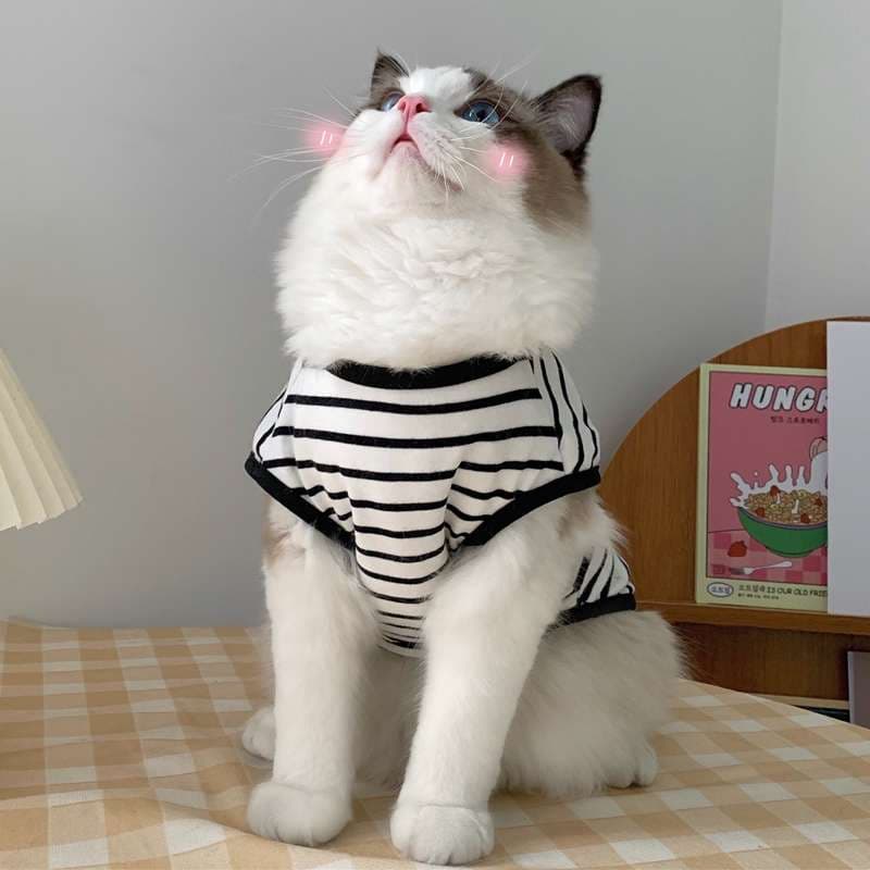 猫服  洋服 | ふわもこ猫用マリンボーダー