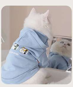猫服  洋服 | カラフル文字柄メッシュキャットウェア