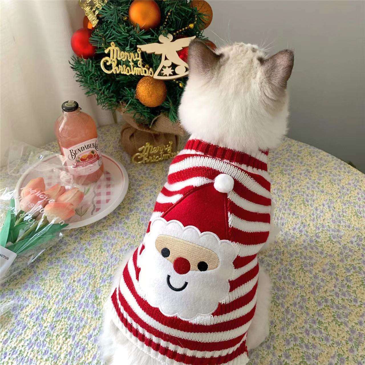 猫服  防寒服 | クリスマス柄ニットセーター